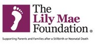 The Lily Mae Foundation